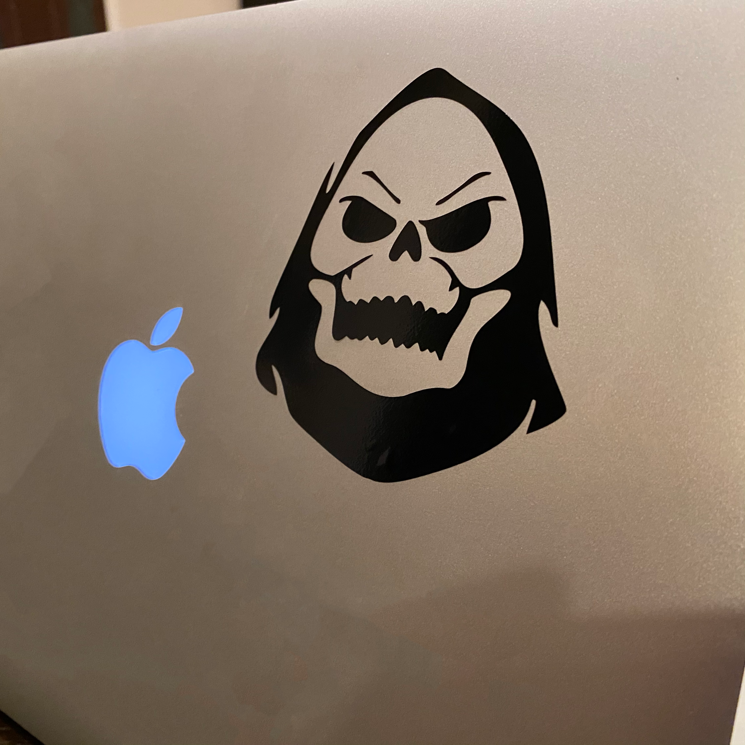 Skeletor Vinyl Sticker