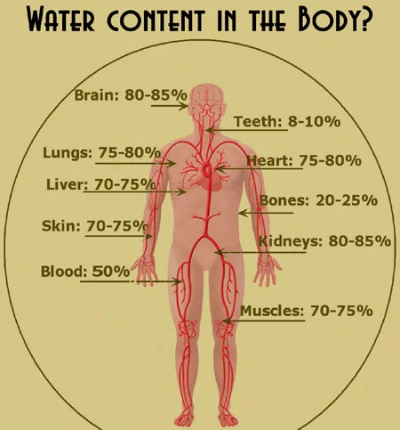 water_content_body_450w.jpg