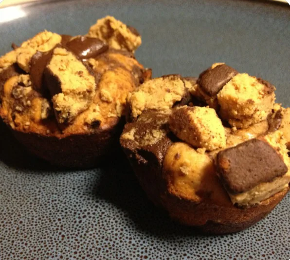 questbrownies.jpg