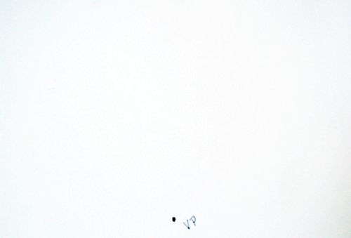vantage_point