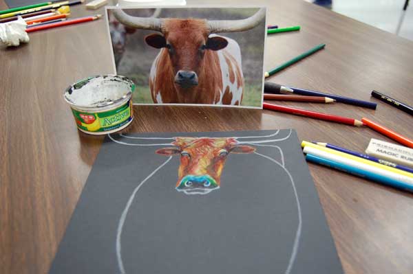 Texas Longhorn