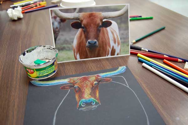 Texas Longhorn