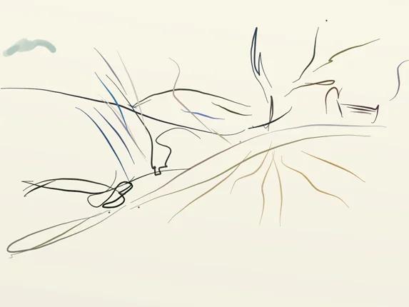 Transient
