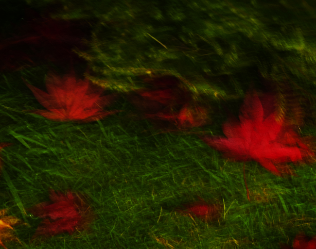 Transient