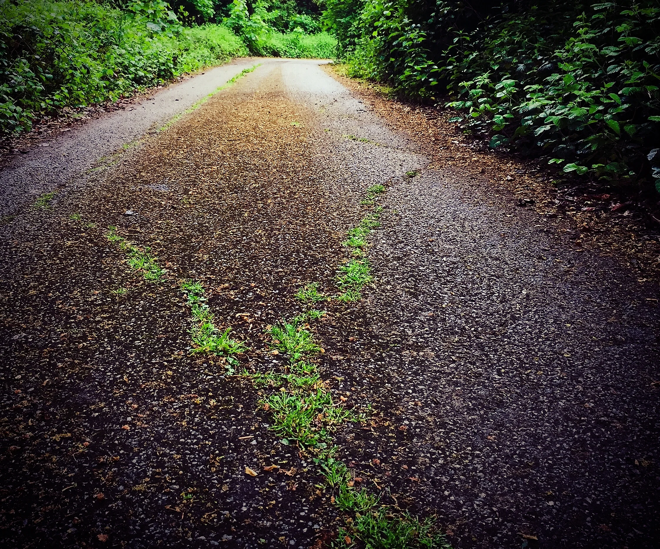 Road: iPhone