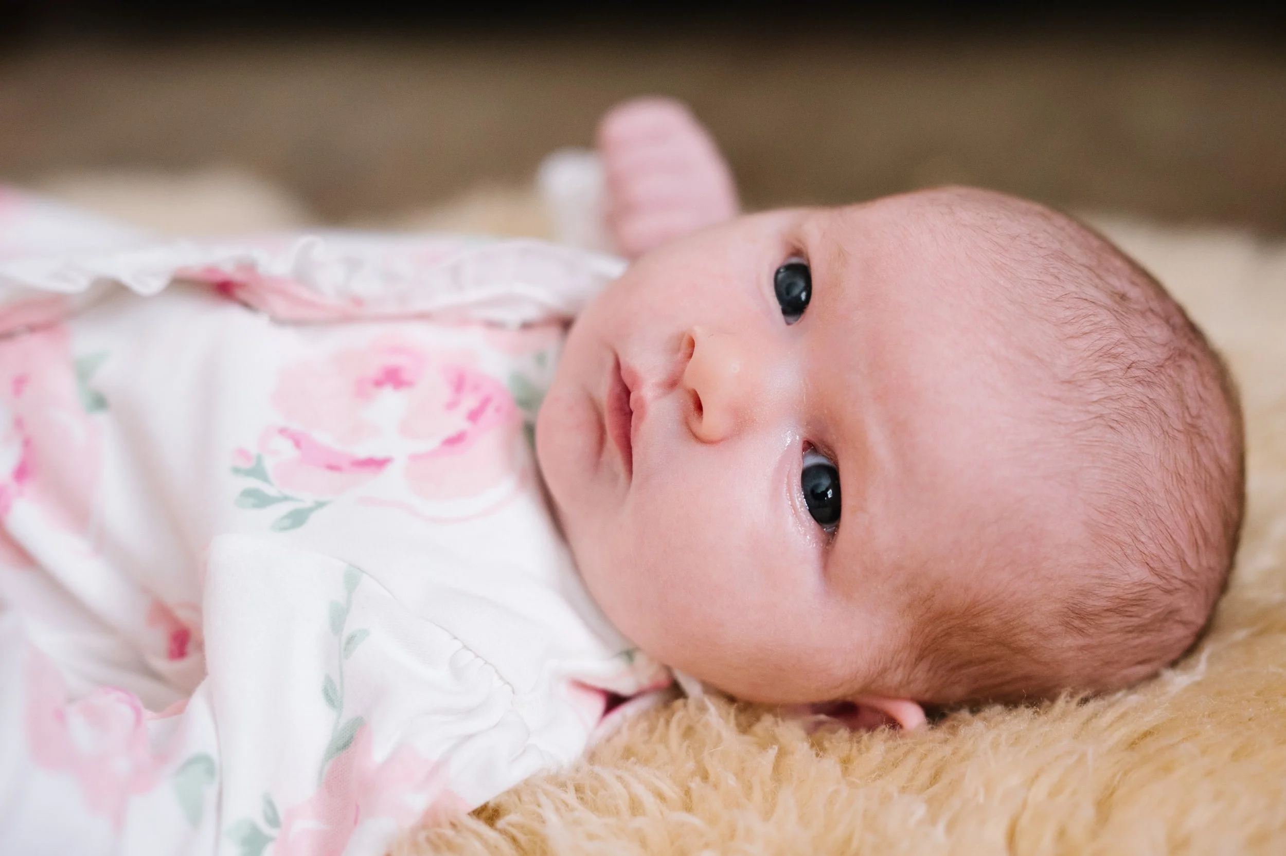 natural relaxed newborn family baby photo