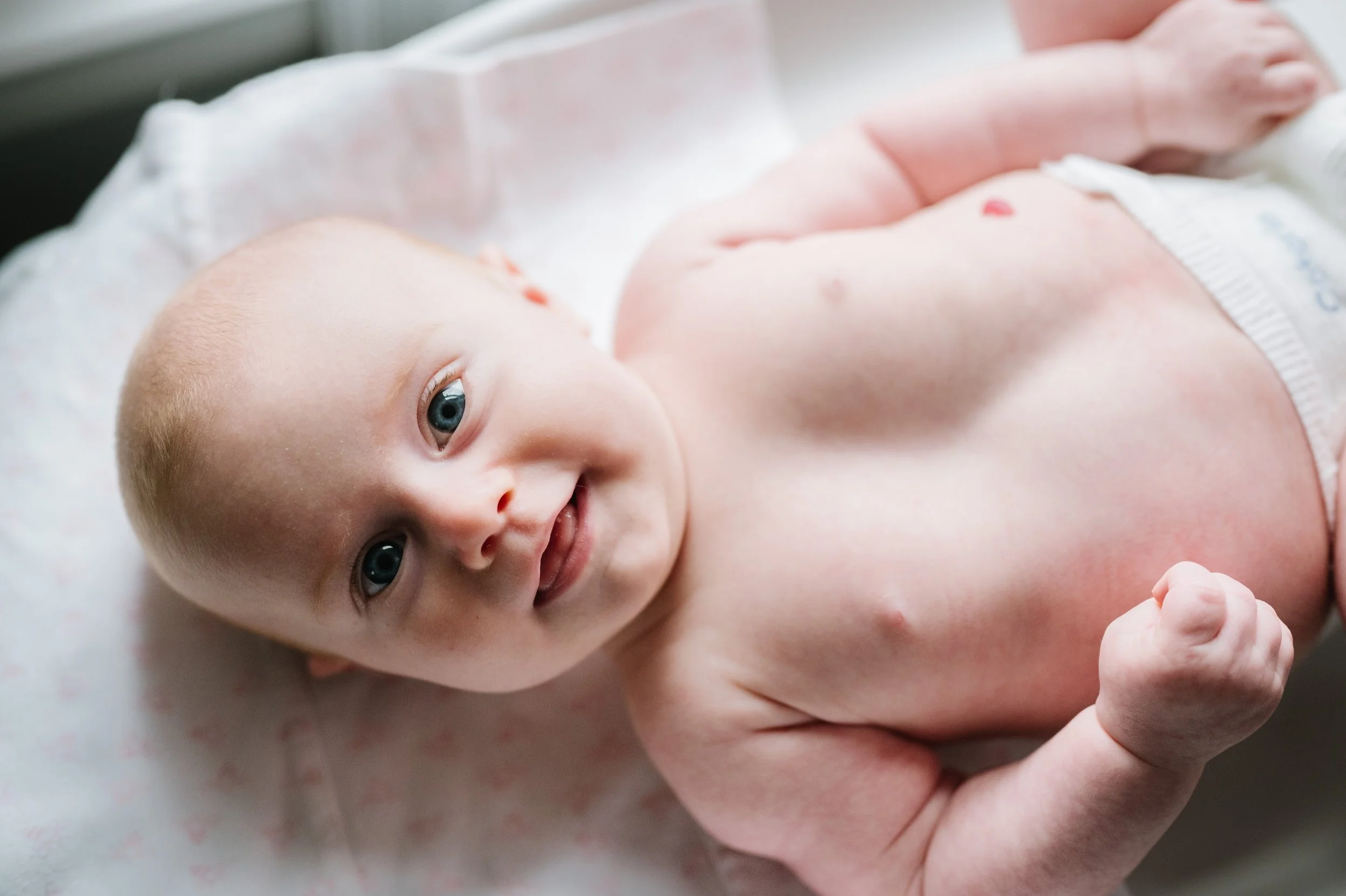 larchmont rye mamaroneck family newborn photo