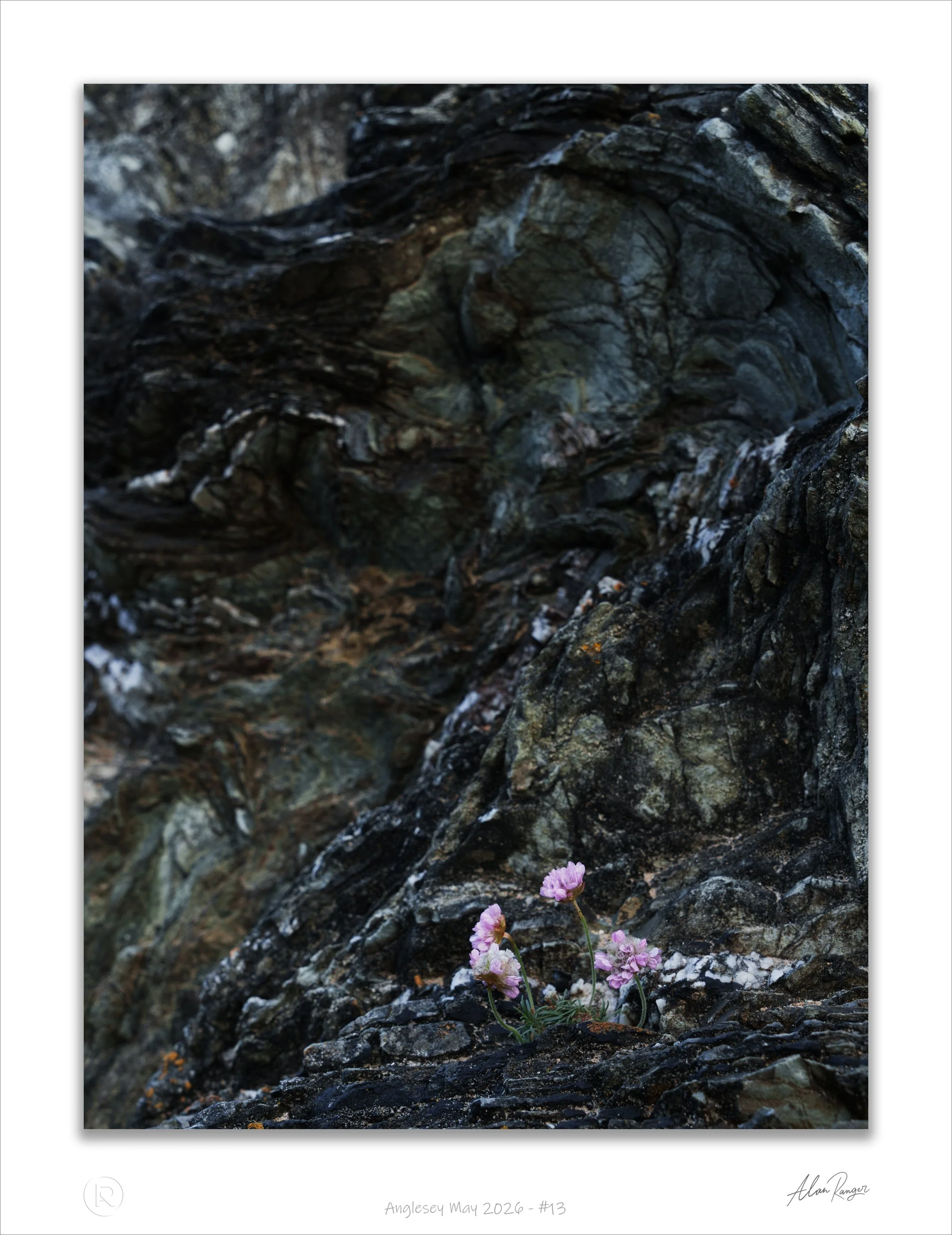 Anglesey May 2026 - #13.jpg