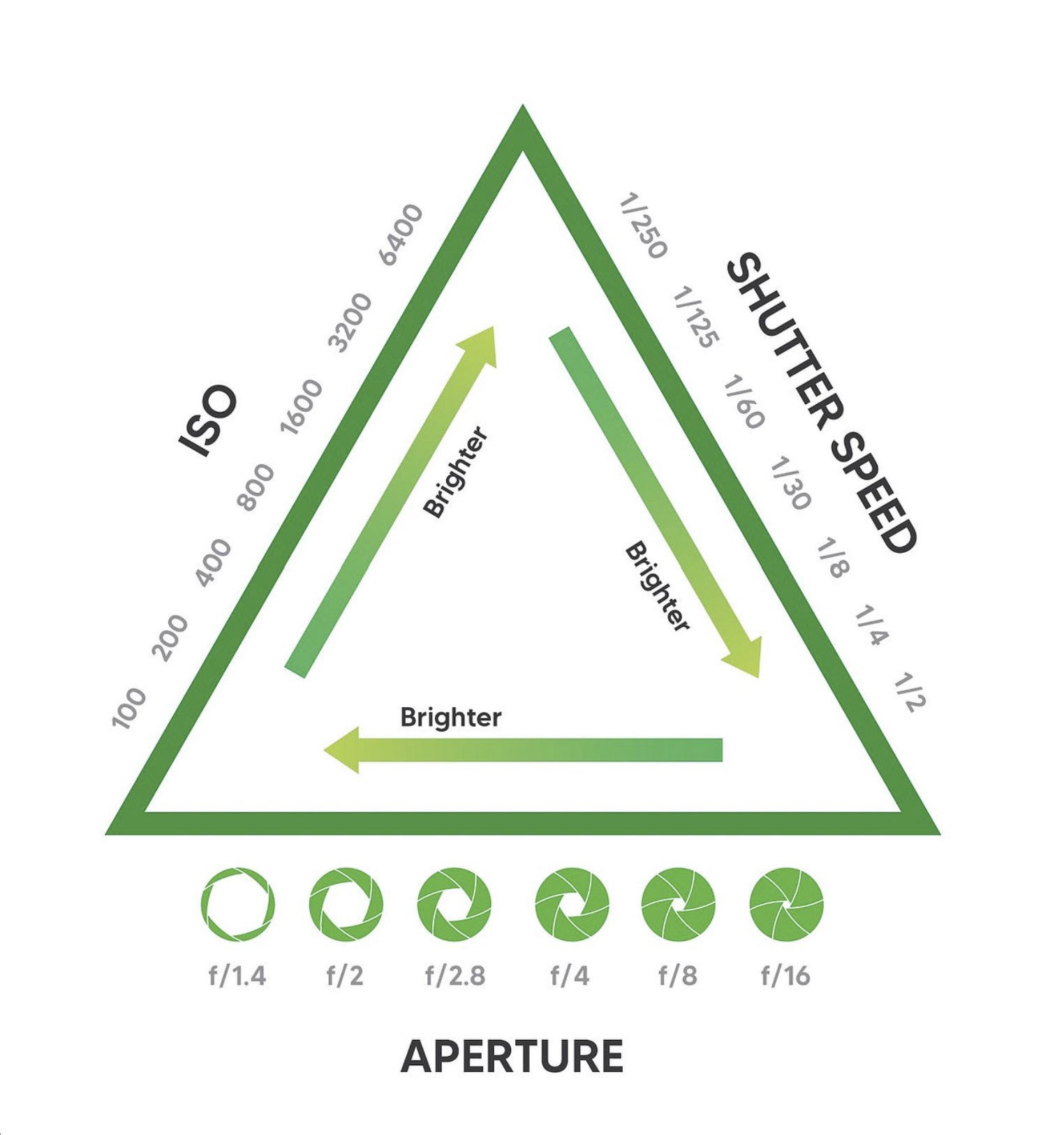 10 Things to Do with Your New Camera - Basic camera settings