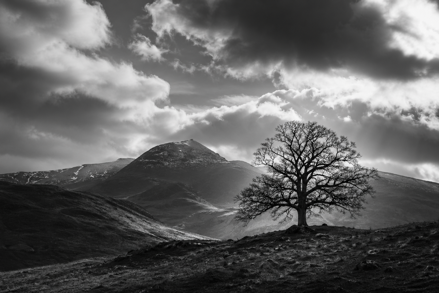 Black & White Photography