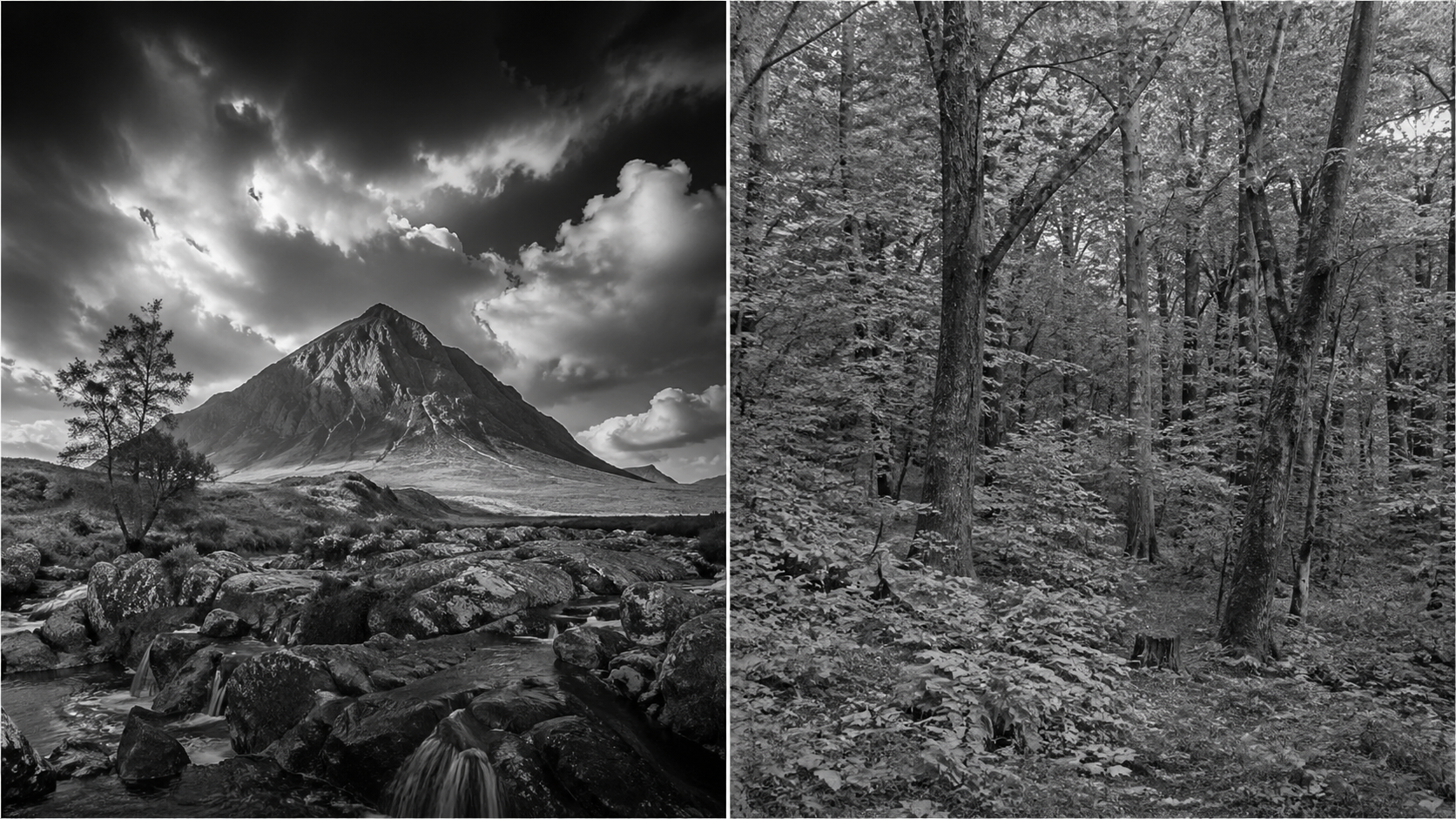 Black & White Photography