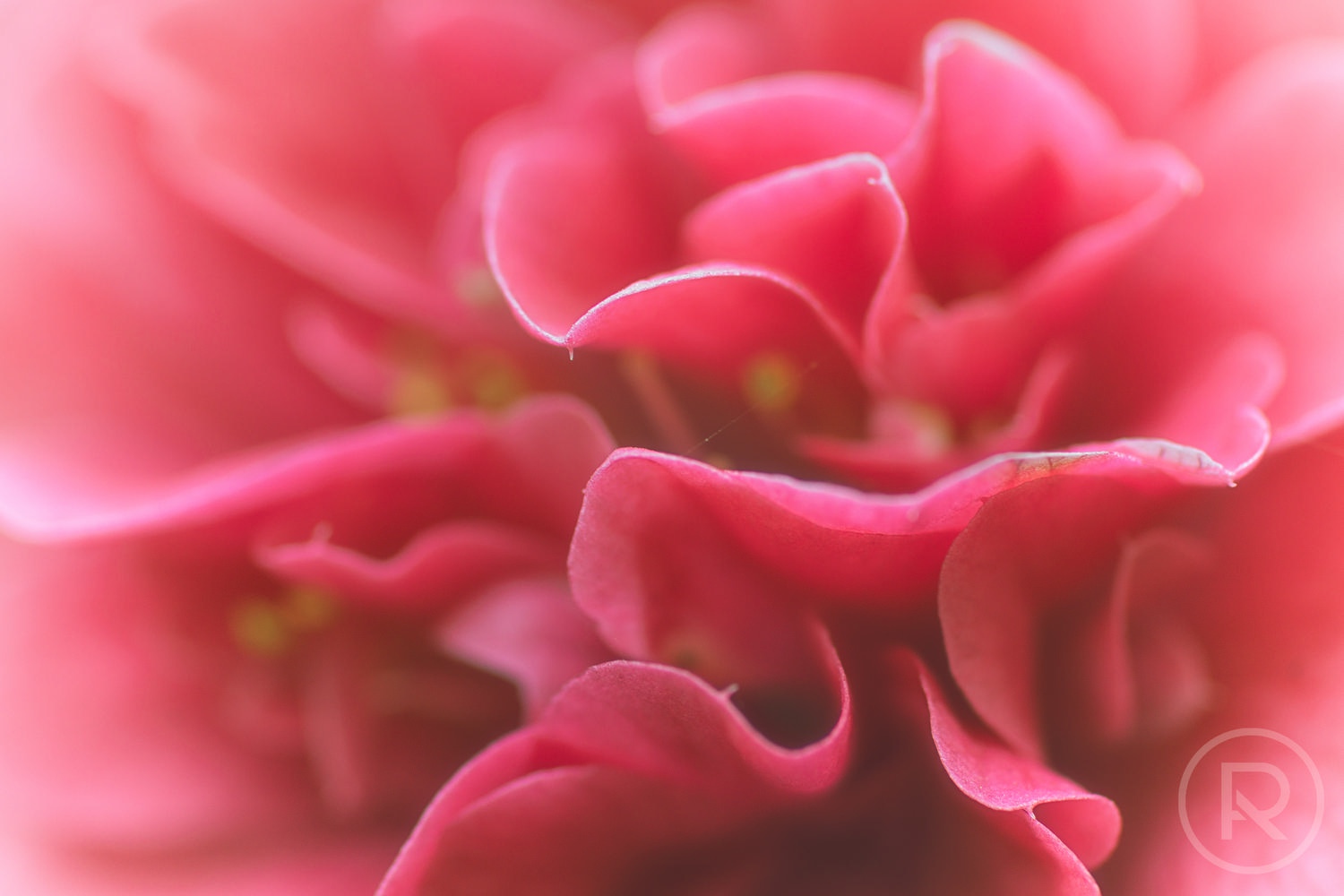 creating photographs audiovisual by Alan Ranger