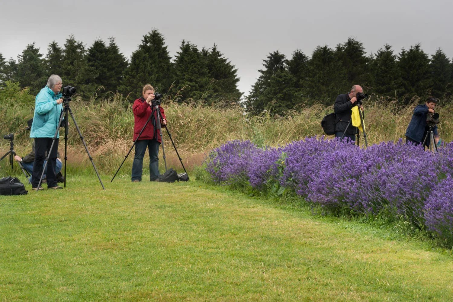lavender workshop students.