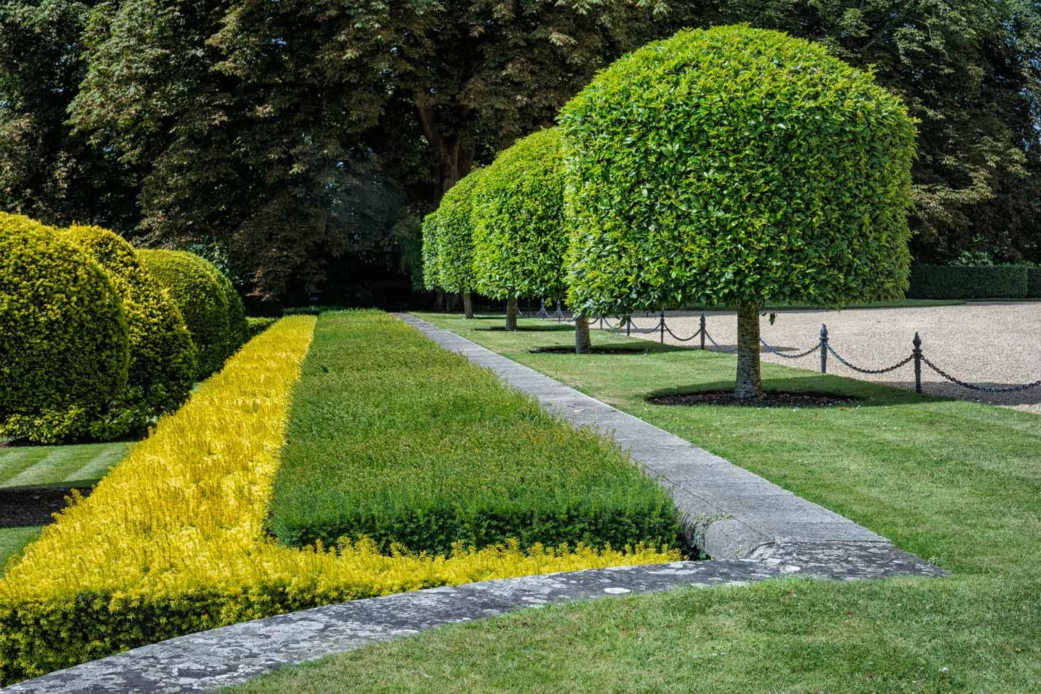 topiary geometry