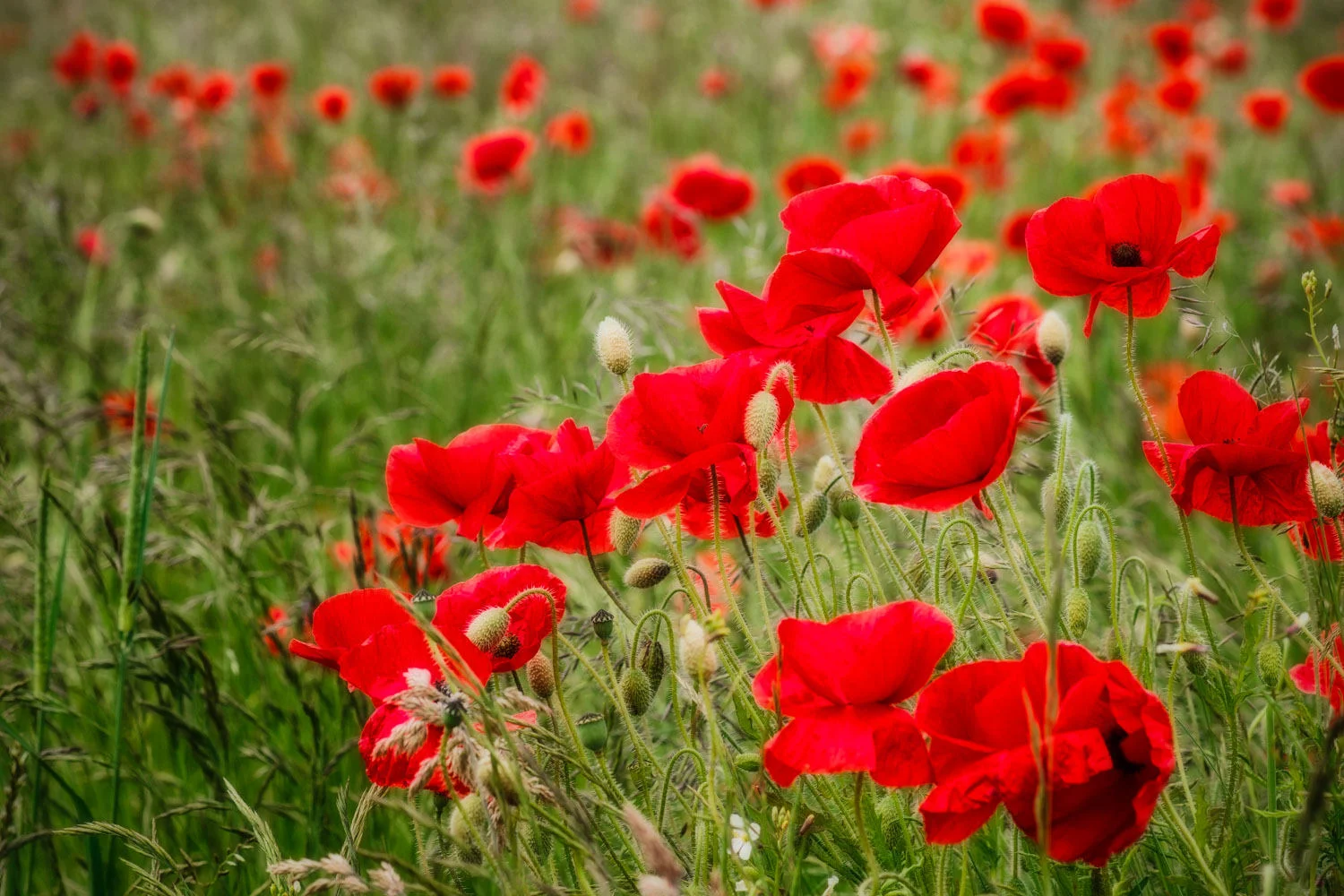 Create a Journey-Capture Life I Audio Visual