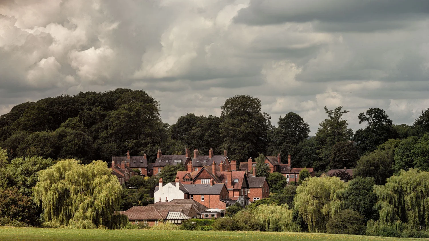 Kenilworth Abbey Fields - Landscape