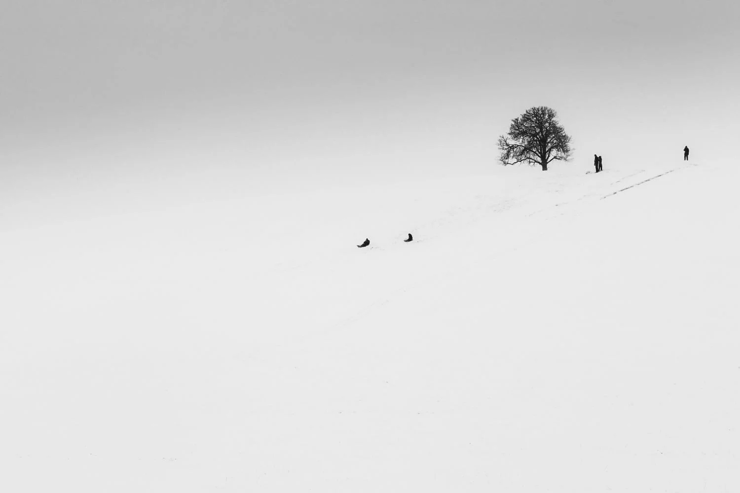 sledging