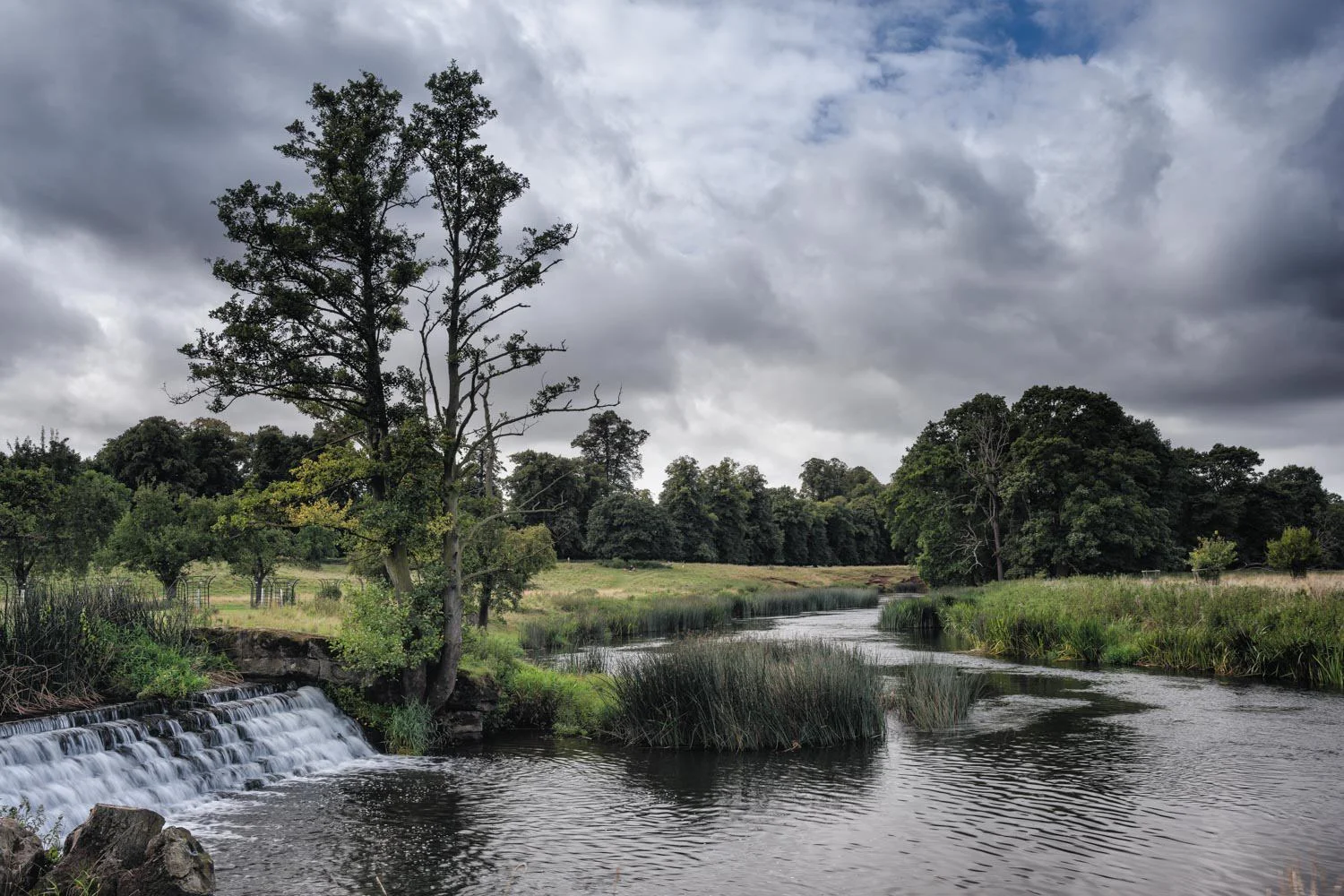 charlecote - standard camera exposure