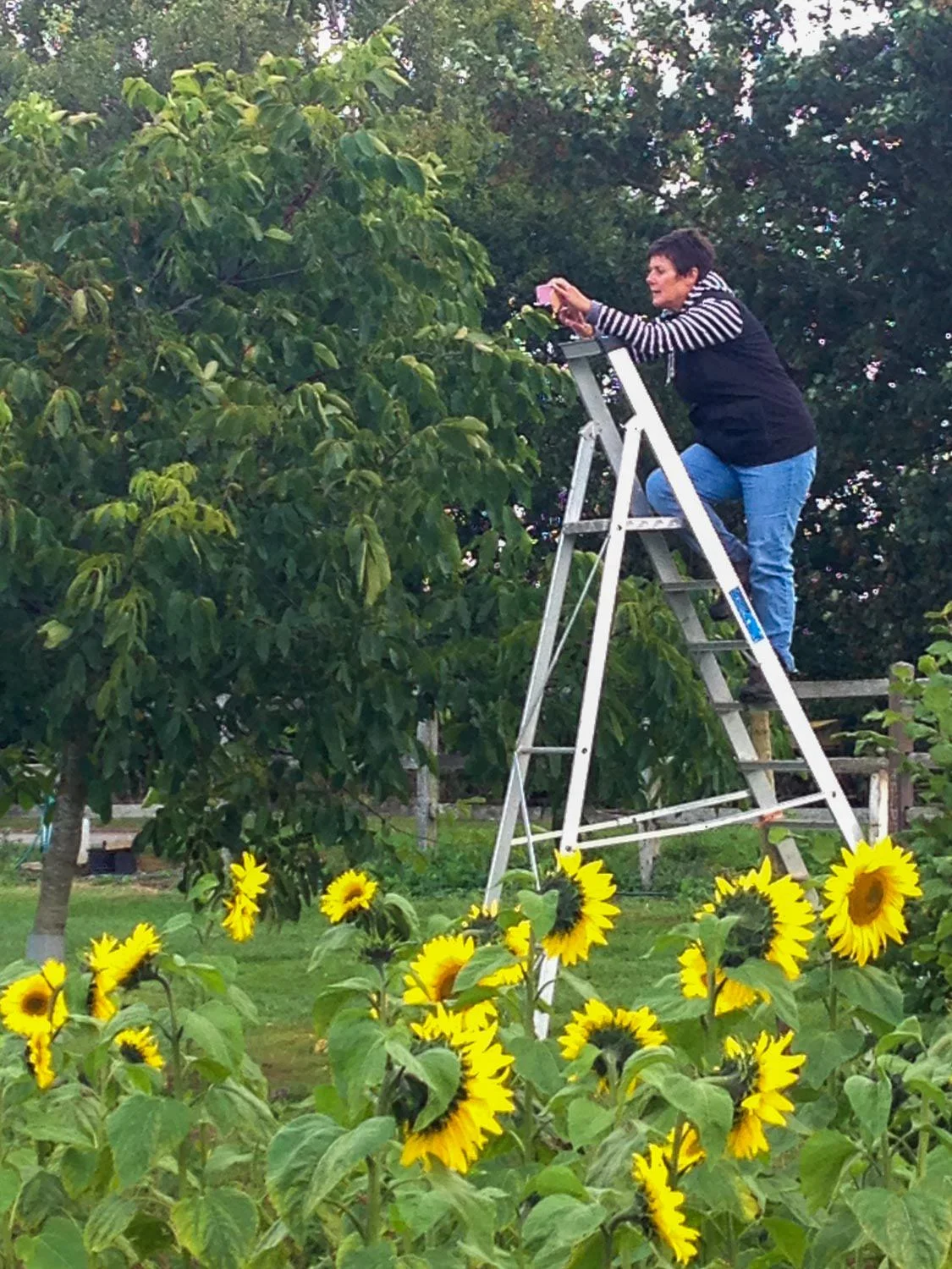 Joyce's new tripod!