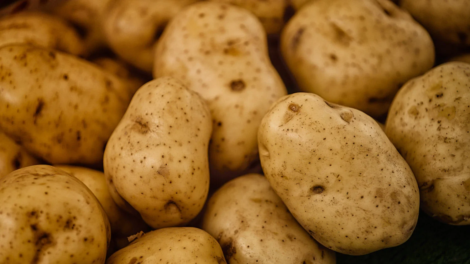 spuds