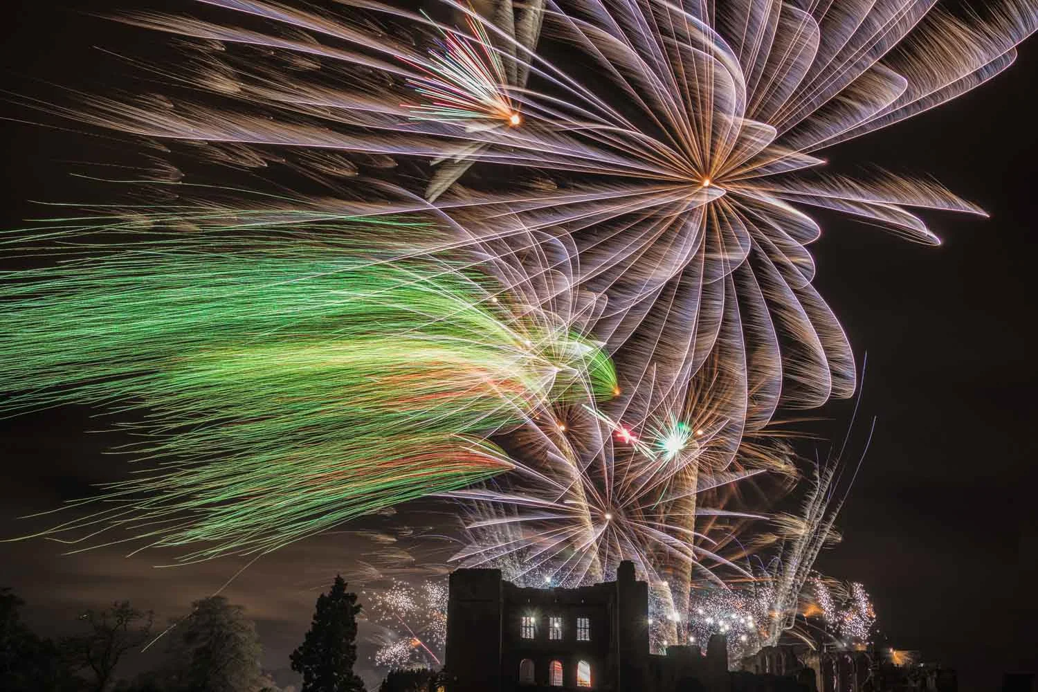 Top 6 Tips for Photographing Fireworks from a Professional