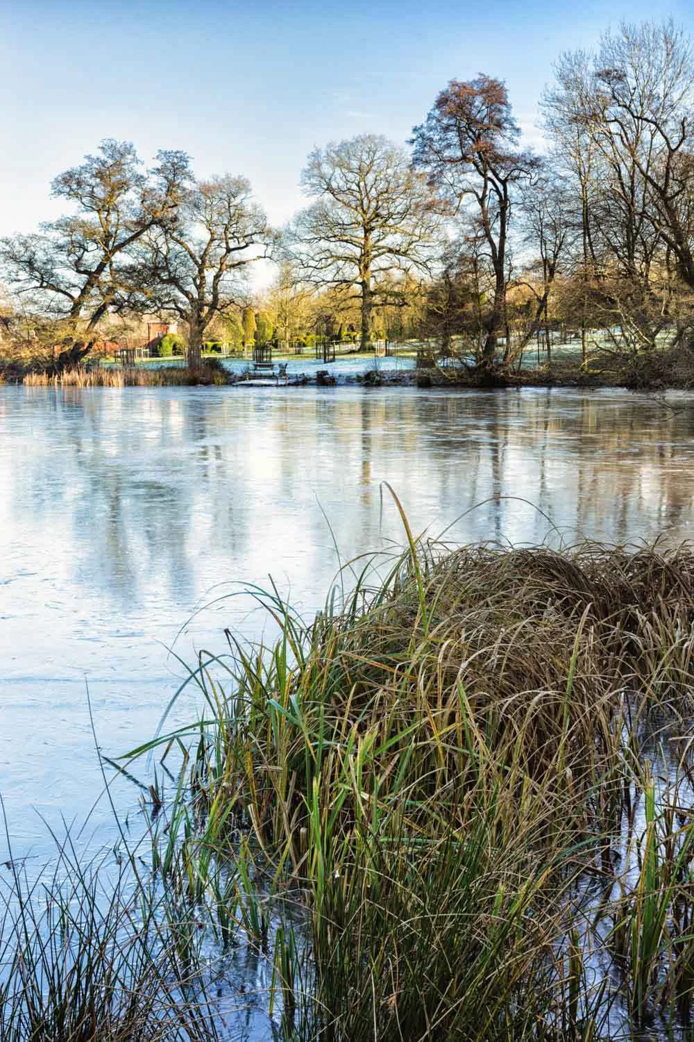 packwood ice