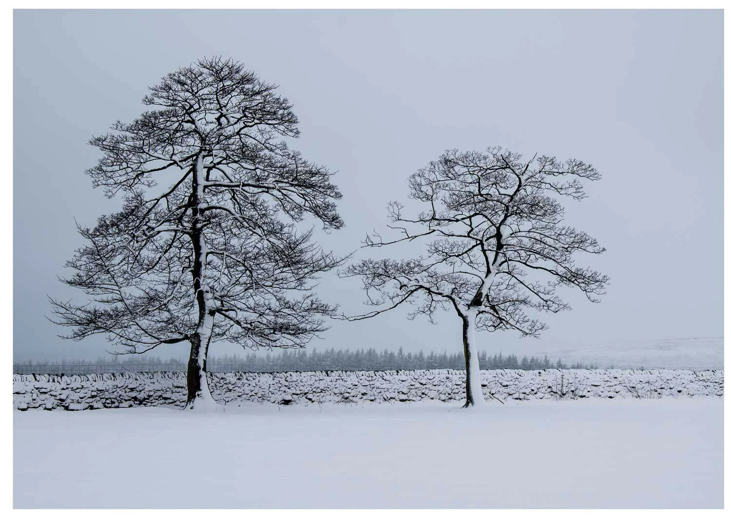 Mike Ford - Based in Yorkshire so had the fortune of weather to support this beautiful scene