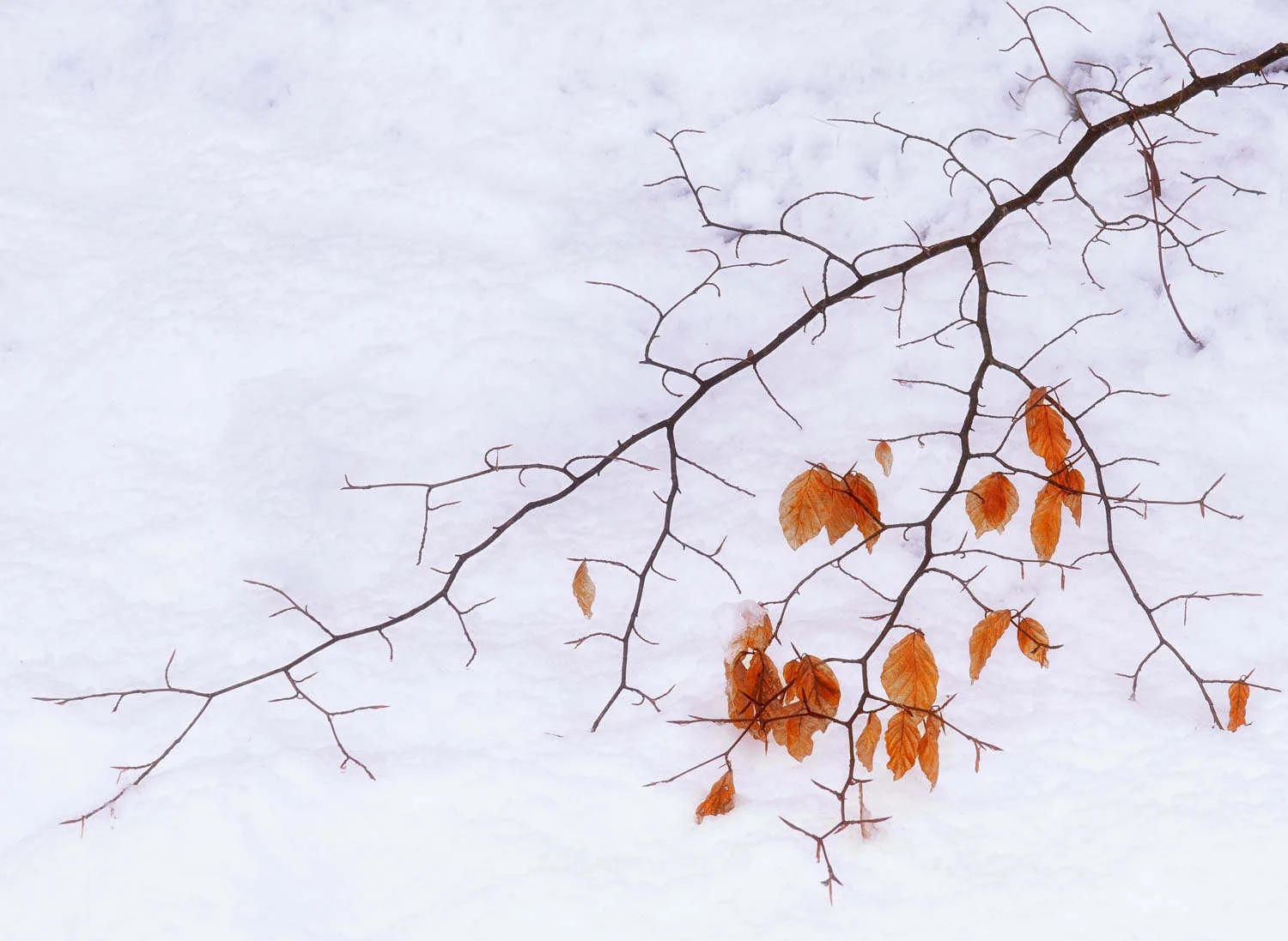 Shoot the magic of landscape winter photography | Guide