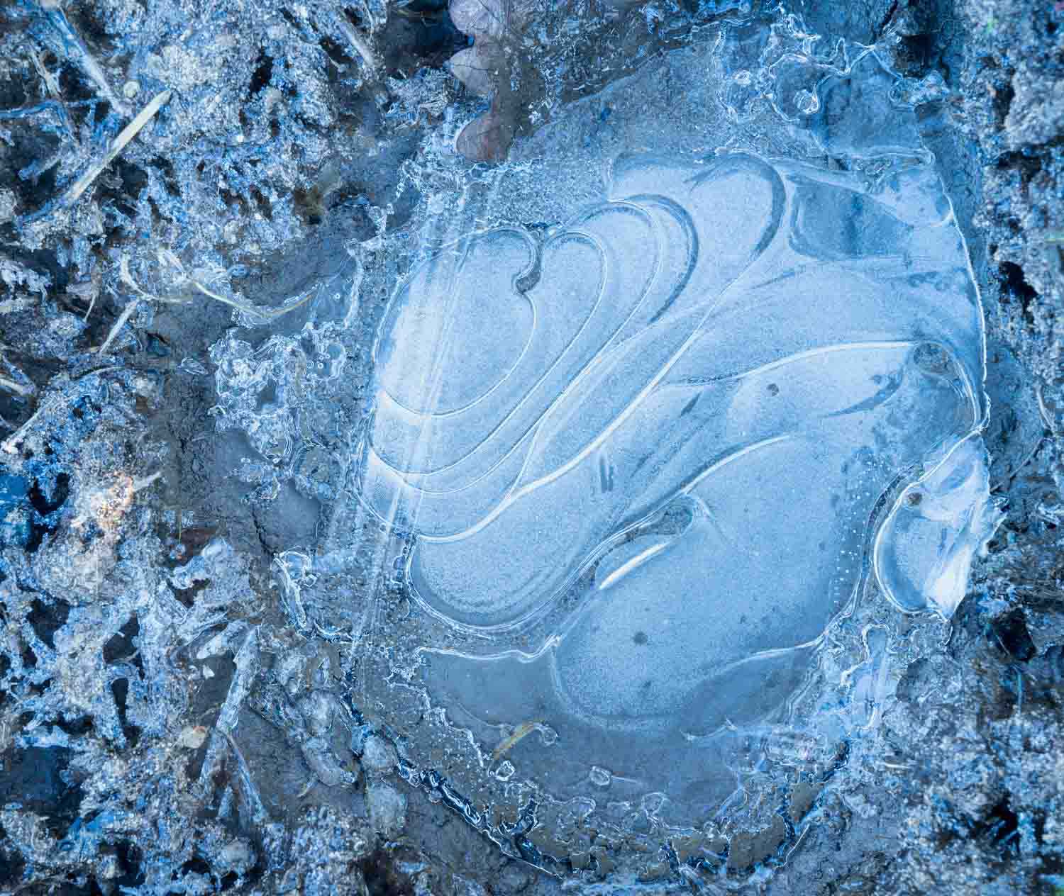 Icescape