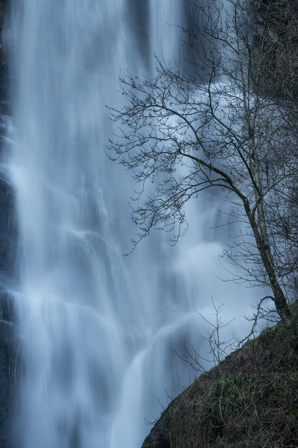 RAW image straight from camera