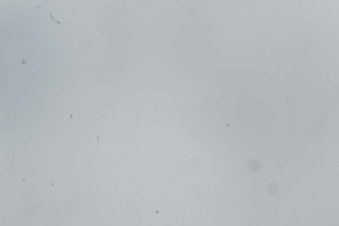 dust spots on the sensor