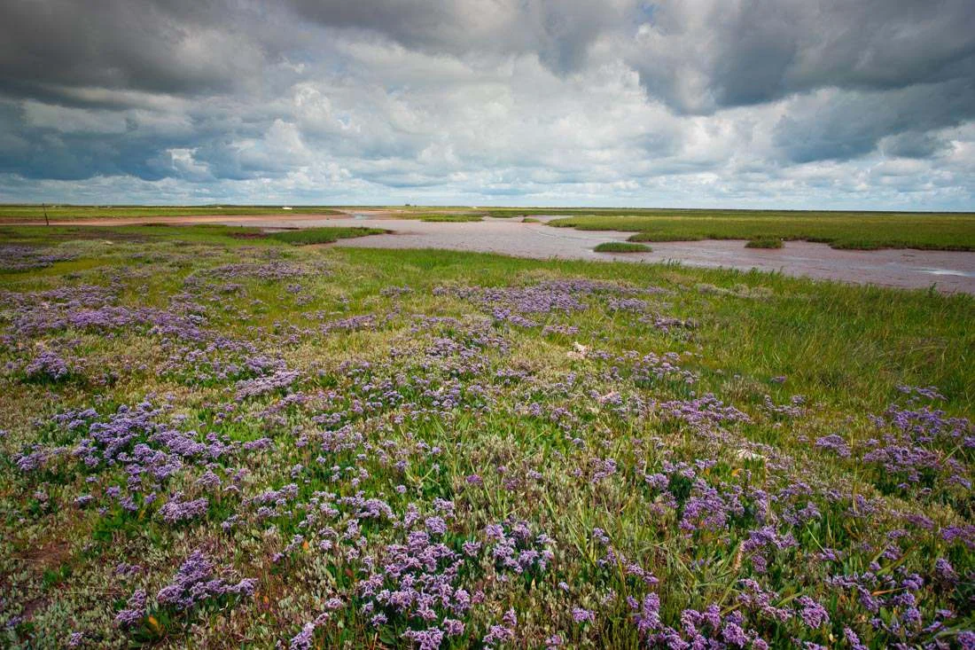 blakeney II
