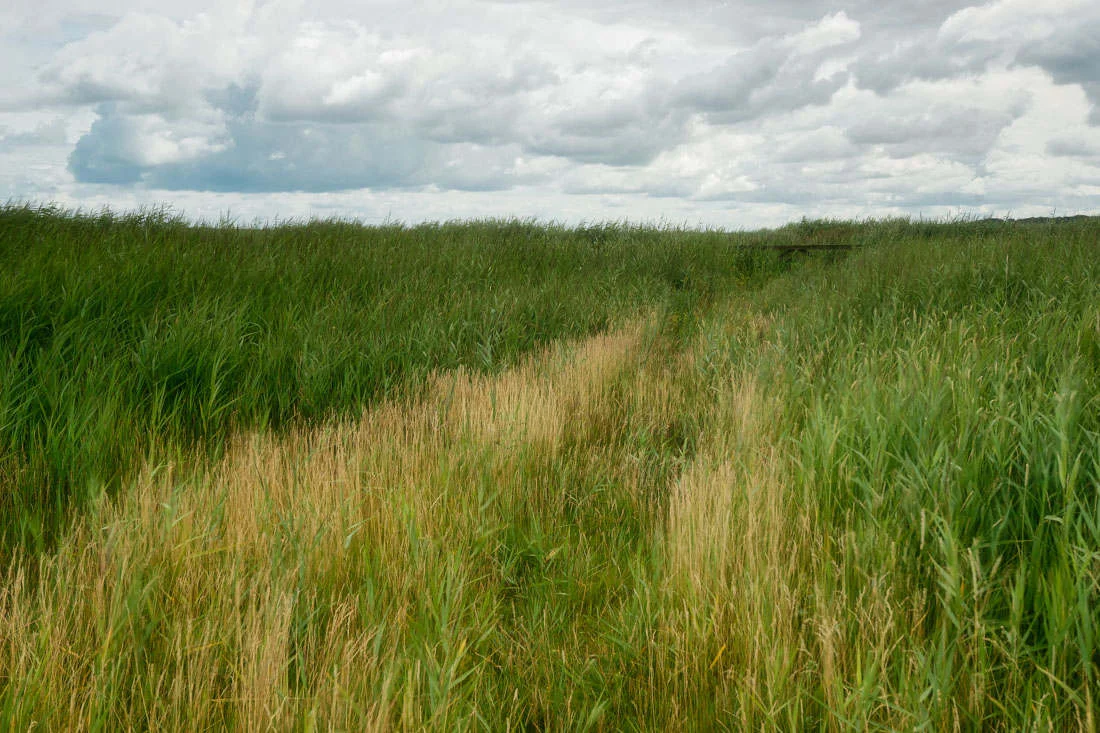 blakeney NR IV