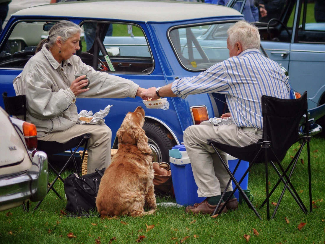 highly COMMENDED - Steve green - tea for two
