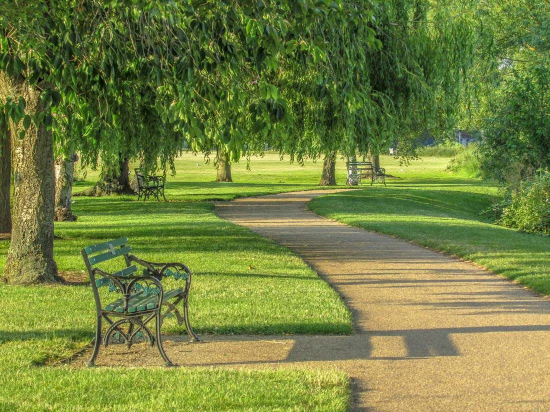 Commended - Tracey Jones - Summer walk