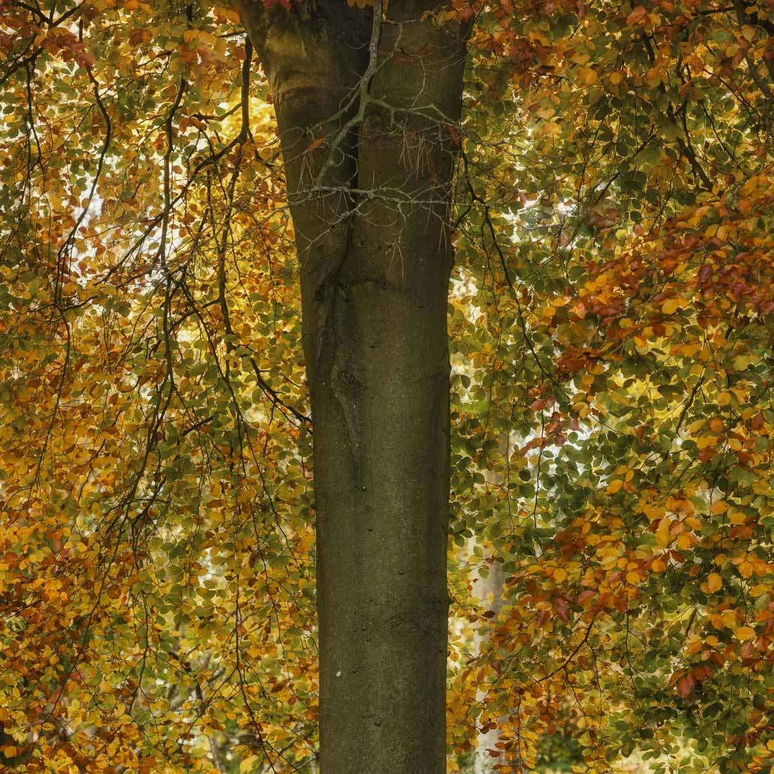 Get out of bed II Audio Visual