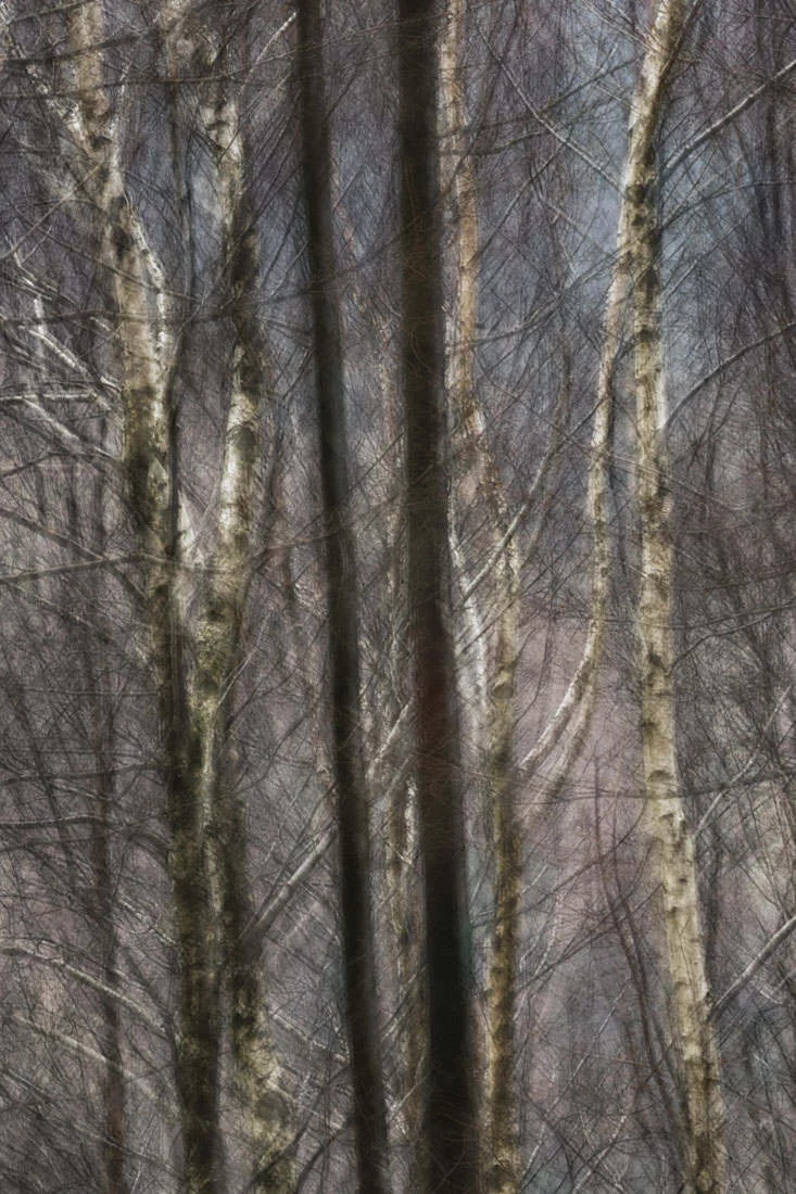 Fern Arch - ISO100 | F22 | 0.7 | at 200mm