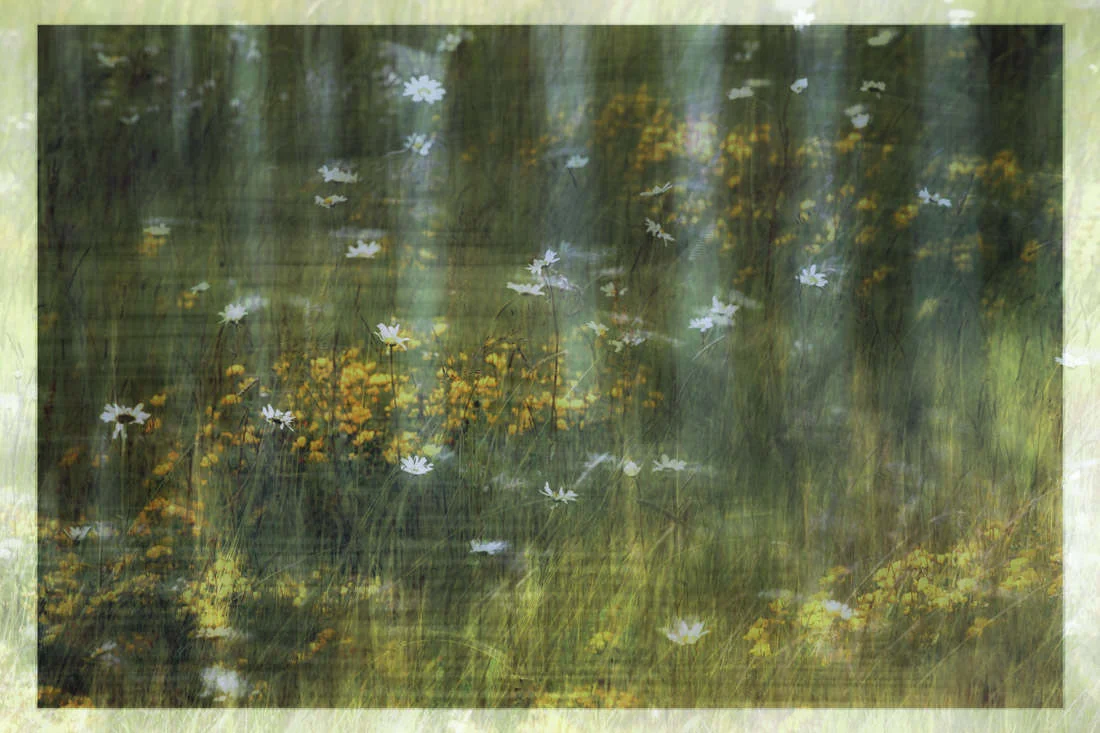 One of my early attempts at multiple exposure, of a wild meadow and then over layed with a water reflection.