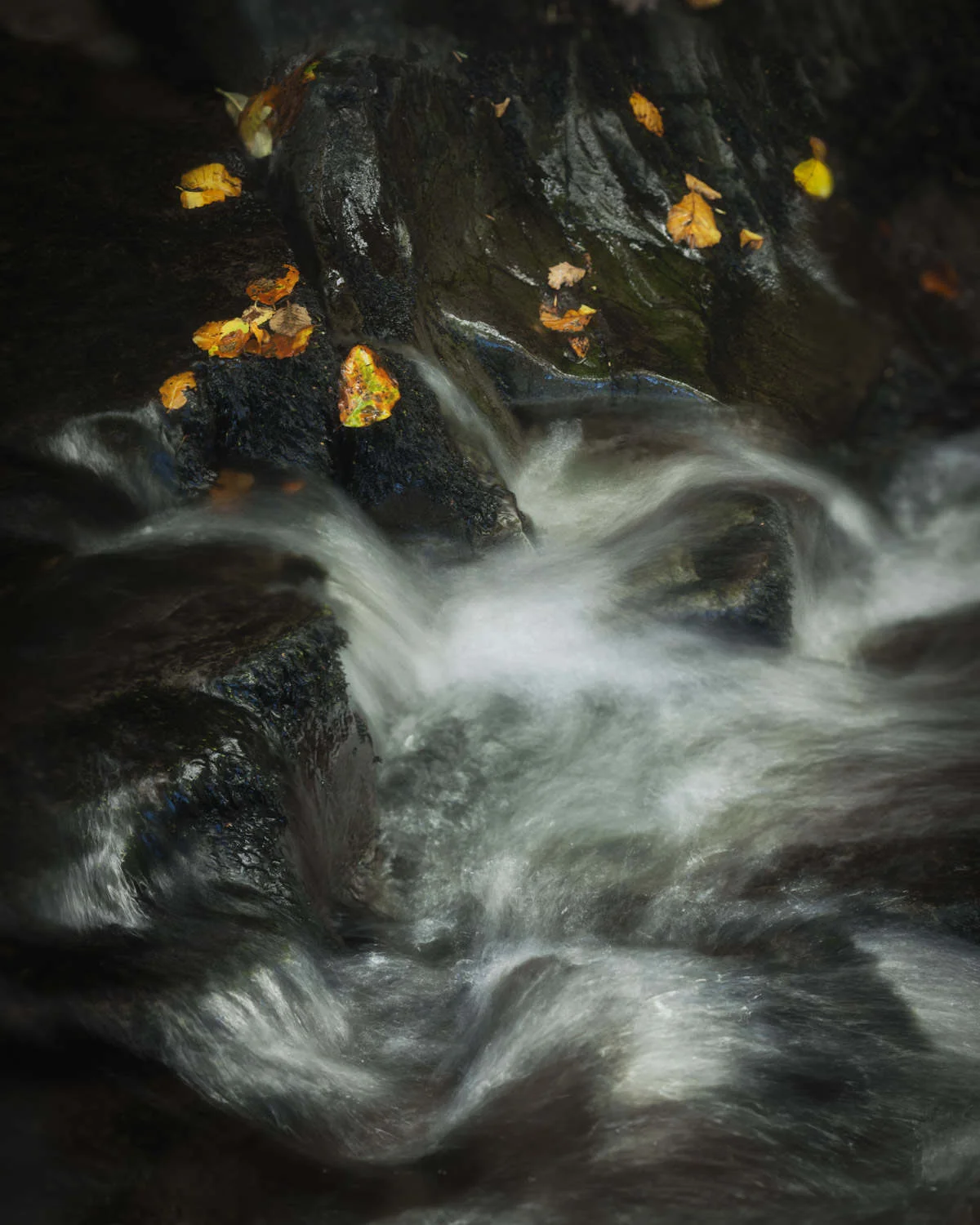 Escapes IV Audio visual of landscape images