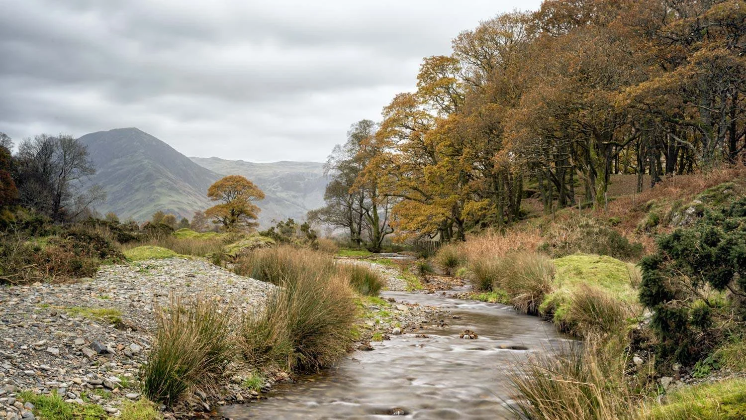 crummock