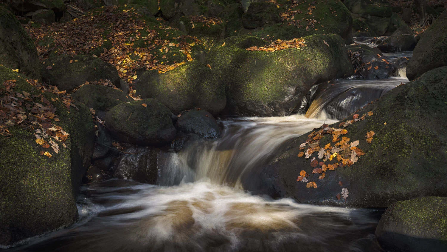 Padley Gorge