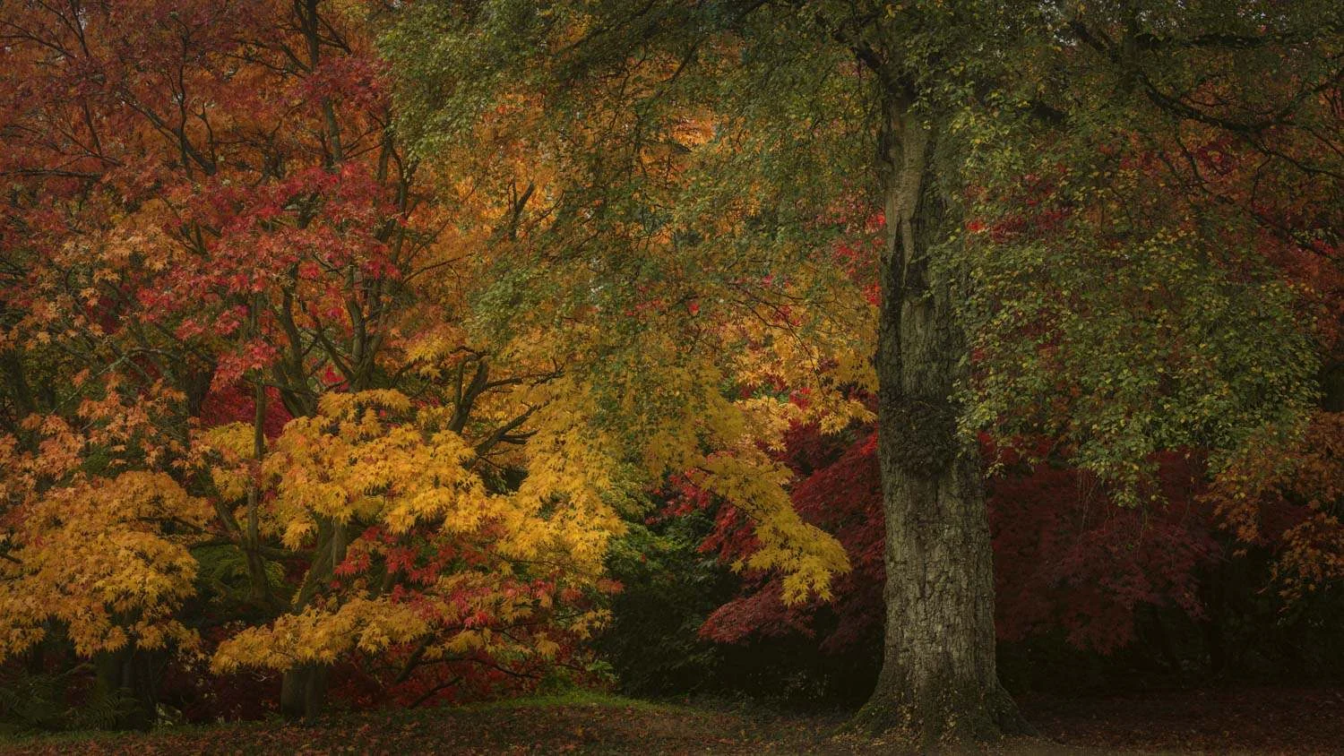 batsford colour