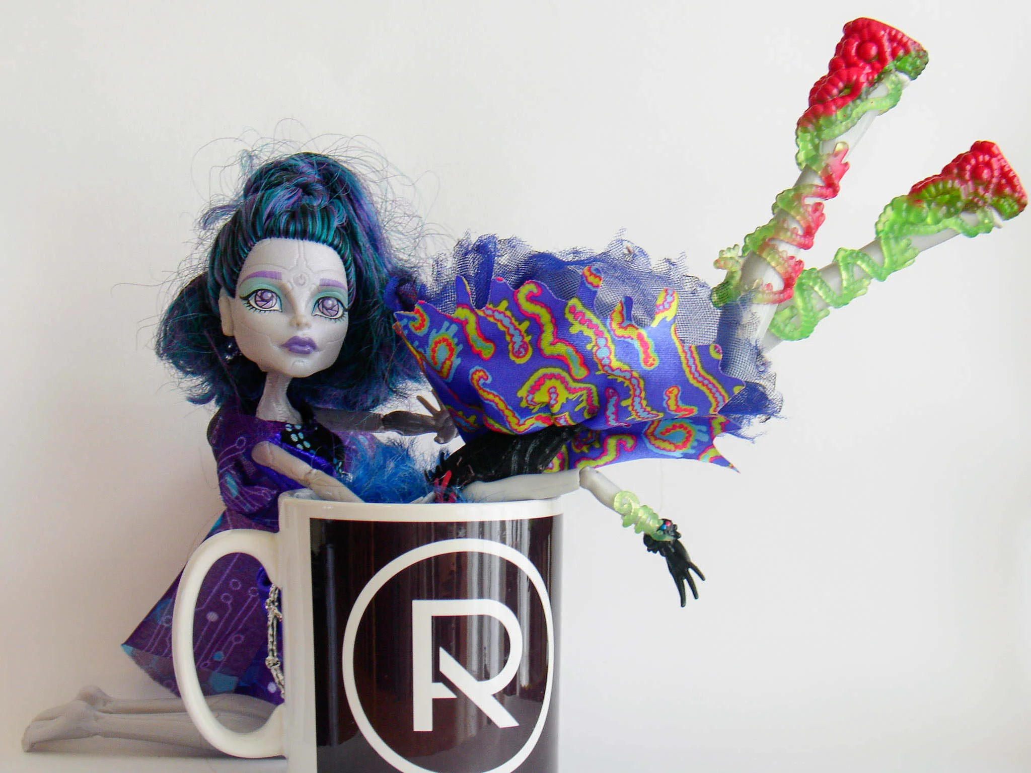 Ruby Ranger Photography Project