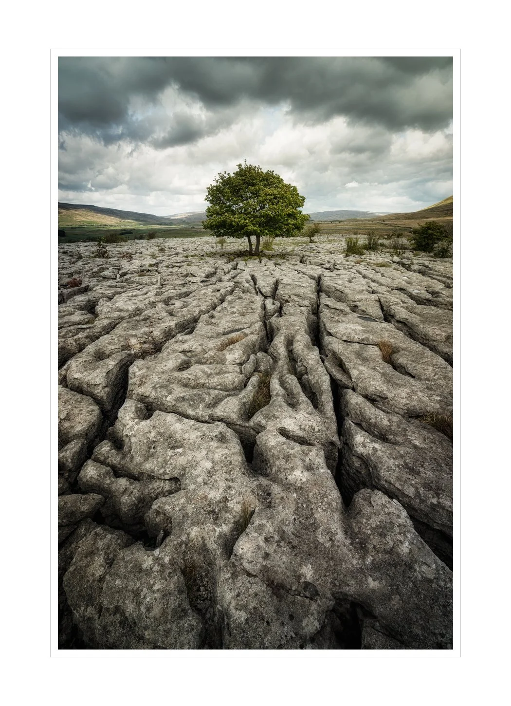 southerscales limestone - cracks