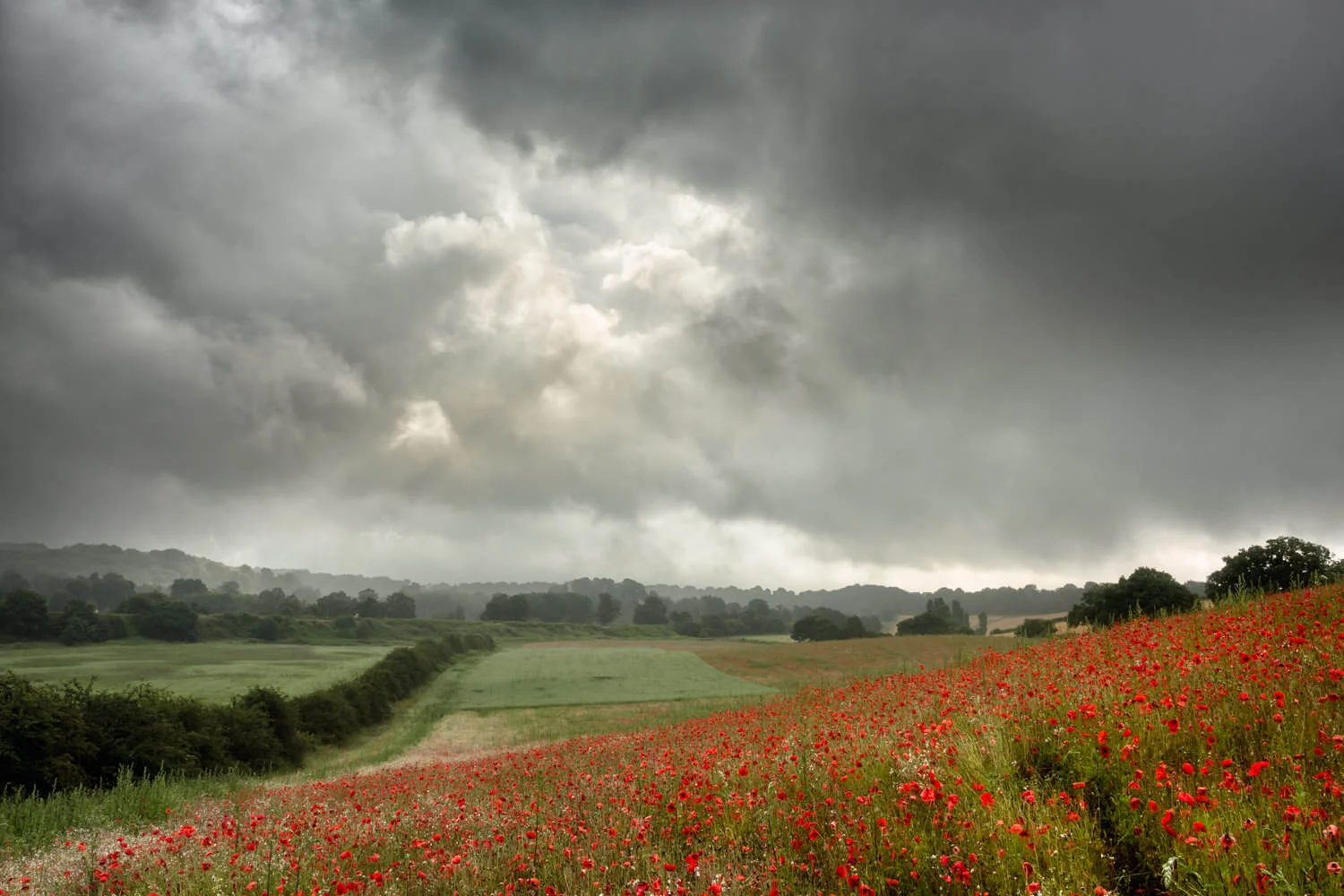 the opening-Alan-Ranger-Photography.jpg