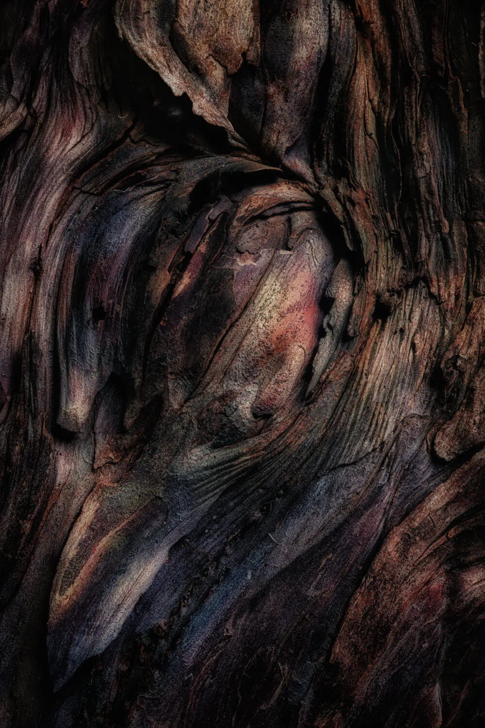 bark study 45-Alan-Ranger-Photography.jpg