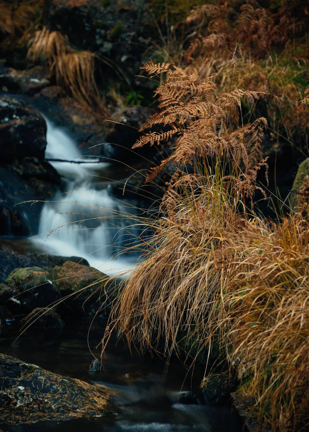 Harrop-Alan-Ranger-Photography.jpg