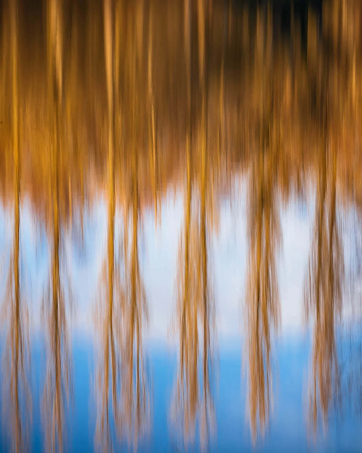 vertical panning