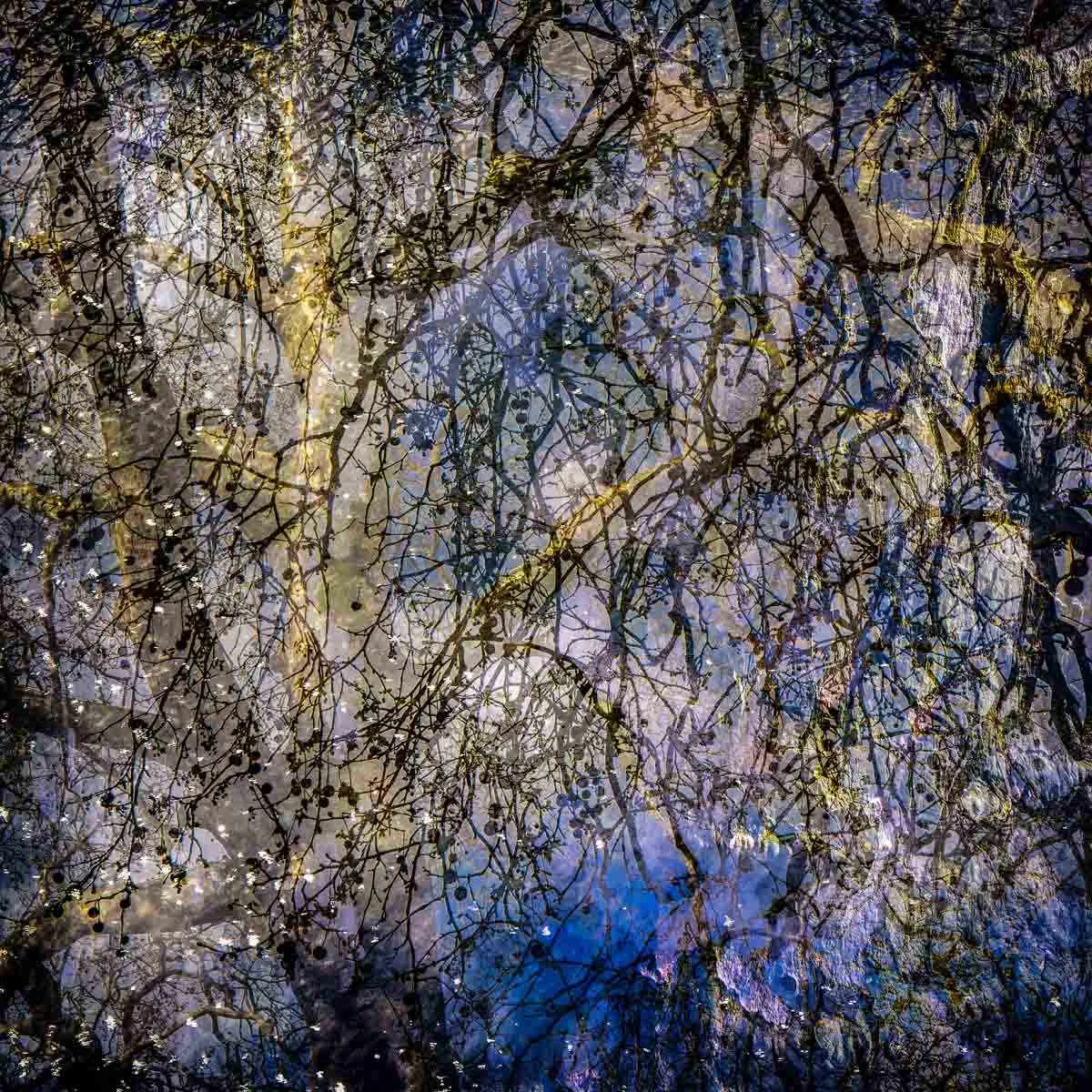 Tumbling alder