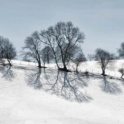 Christmas Photography Workshop Walk - Warwickshire 